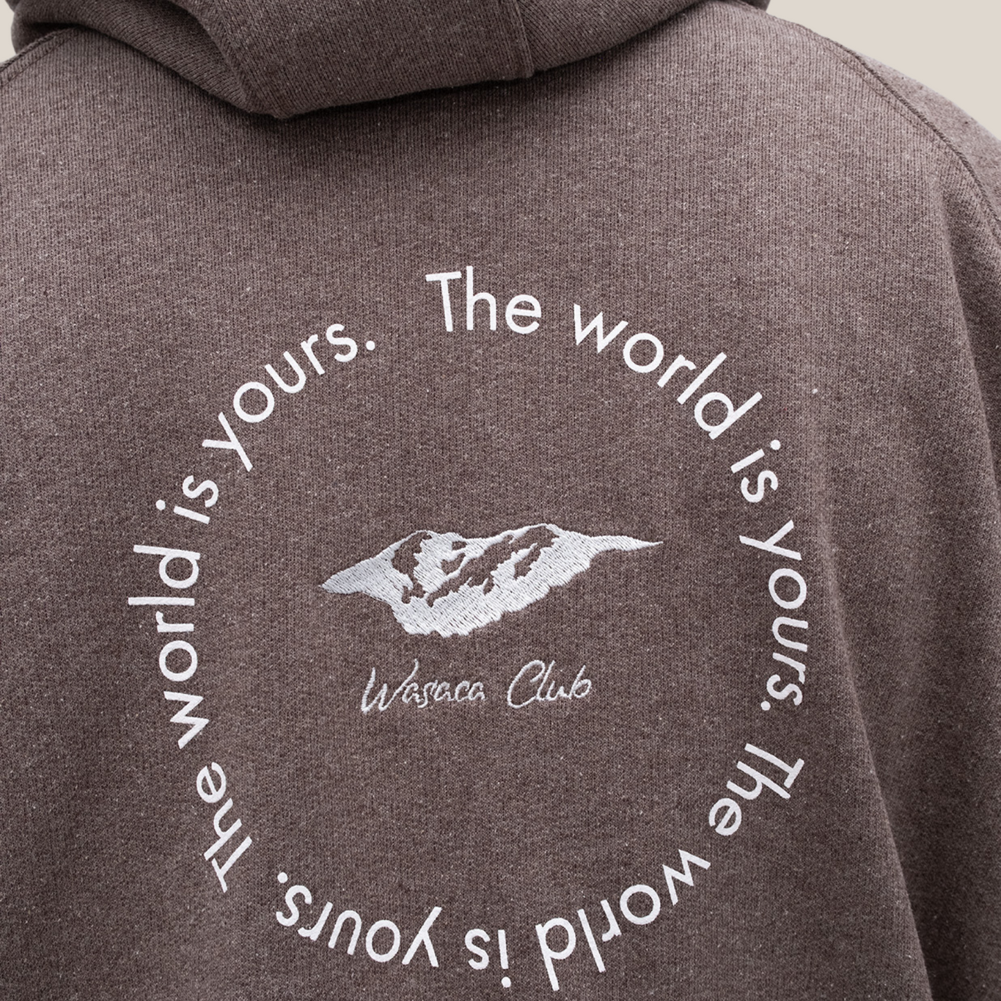 THE WORLD IS YOURS REGULAR HOODIE
